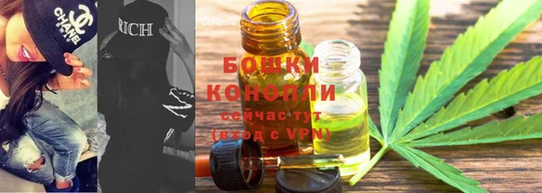 2c-b Пестово
